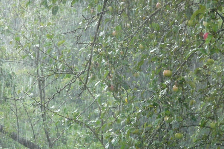 Másodfokú riasztások a felhőszakadás miatt