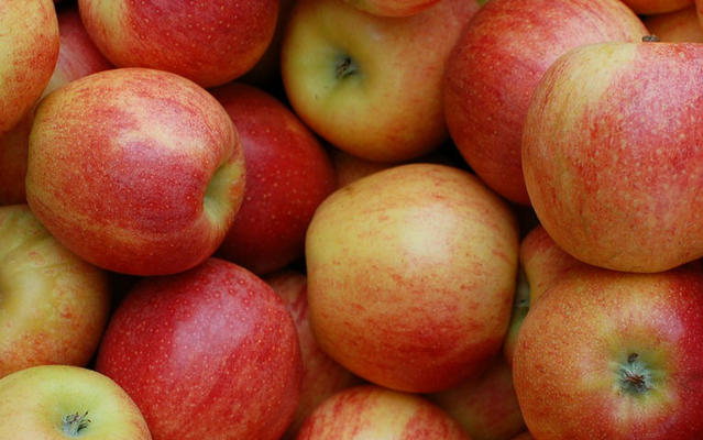 AM: a magyar alma biztonságos és kiváló minőségű