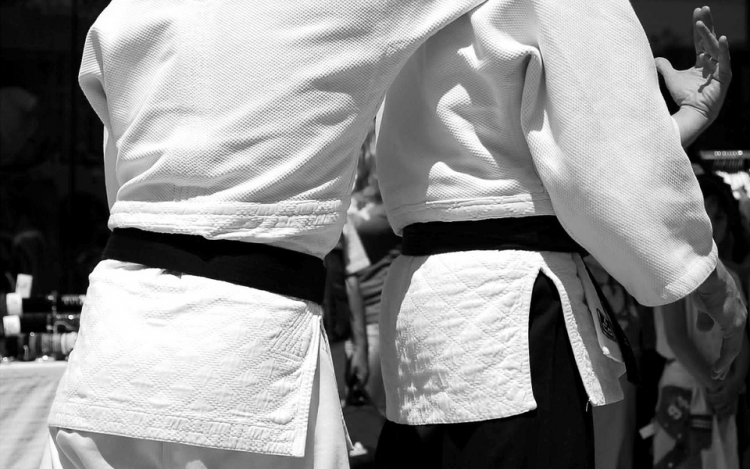 Kiemelt sportág lett a karate