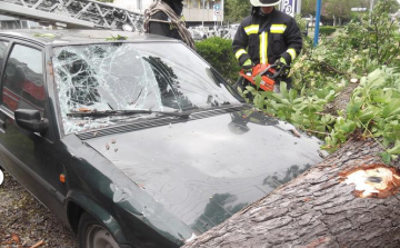 Tűzoltó beavatkozások - 2016.04.24. (vasárnap)