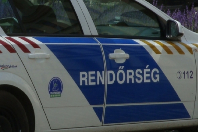 Régészeti leletekkel bukott le egy szerb férfi