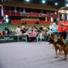 CAC Kutyakiállítás a Városi Sportcsarnokban